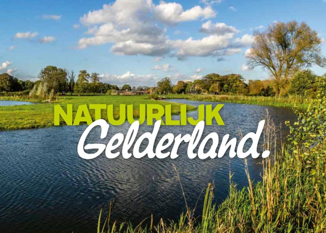 Ferienhaus Luxchalet #Vaju Lathum# Am See, Strand, Pool, Nationalpark Zewnętrze zdjęcie